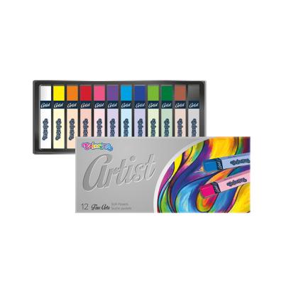 Artist Soft Pastels 12 Colours