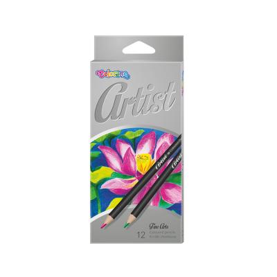 Artist Coloured Pencils 12 Colours