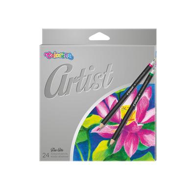 Artist Coloured Pencils 24 Colours