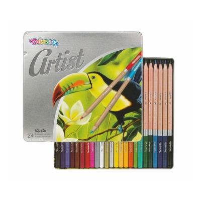 Artist Coloured Pencils in a Metal Case 24 Colours