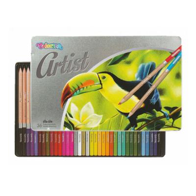 Artist Coloured Pencils in a Metal Case 36 Colours