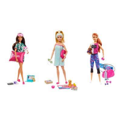 Barbie Relaxing Life Assorted