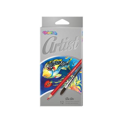 Artist Watercolour Pencils 12 Colours