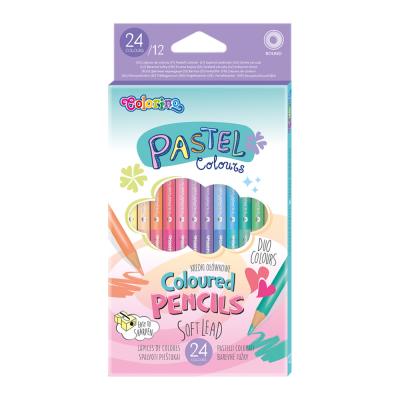 Pastel Coloured 24 Pencils 12 Colours