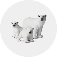 Miniatures