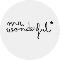 MR WONDERFUL
