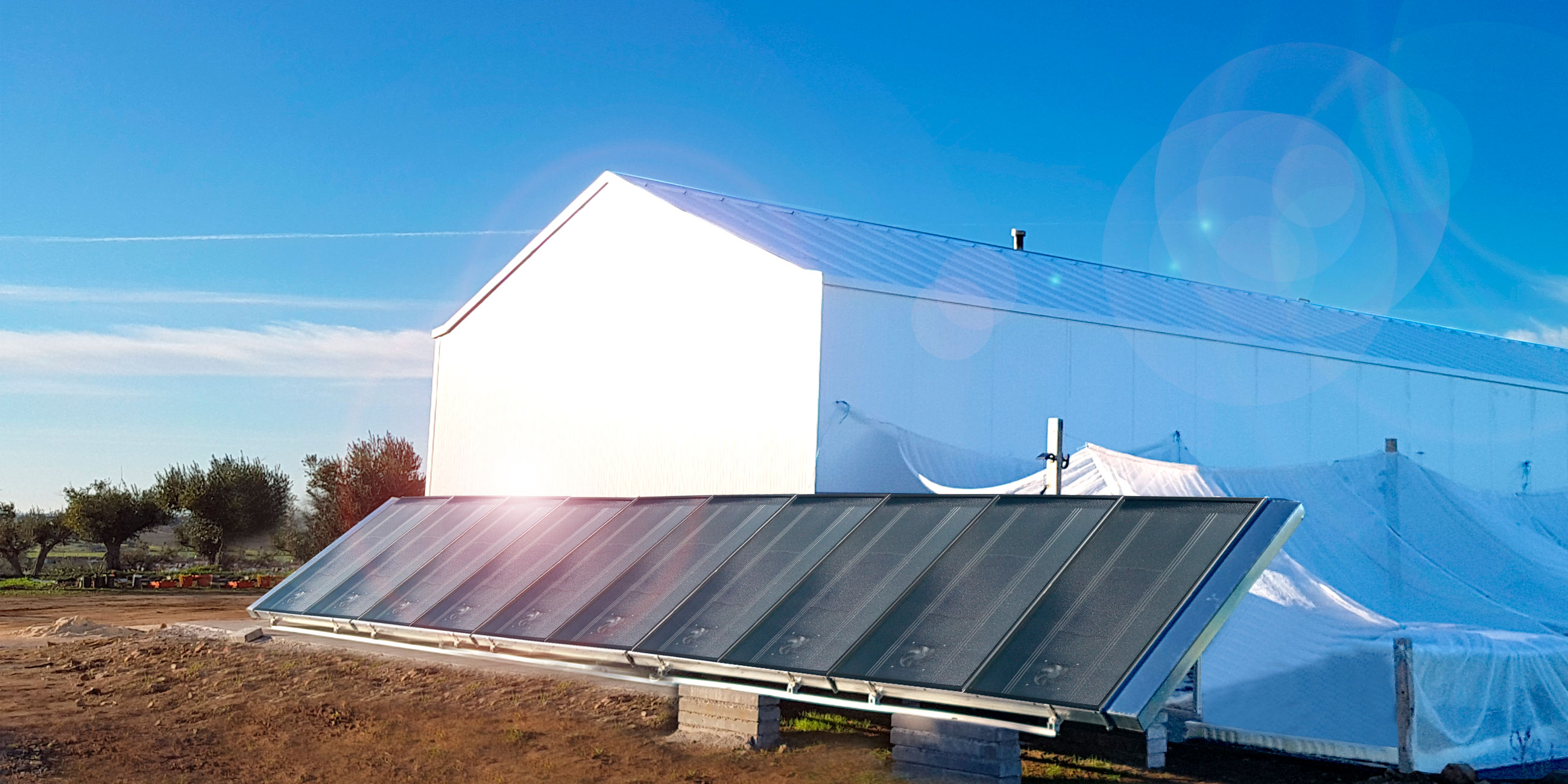 MErcurio Solar Dryer Agricultural installation
