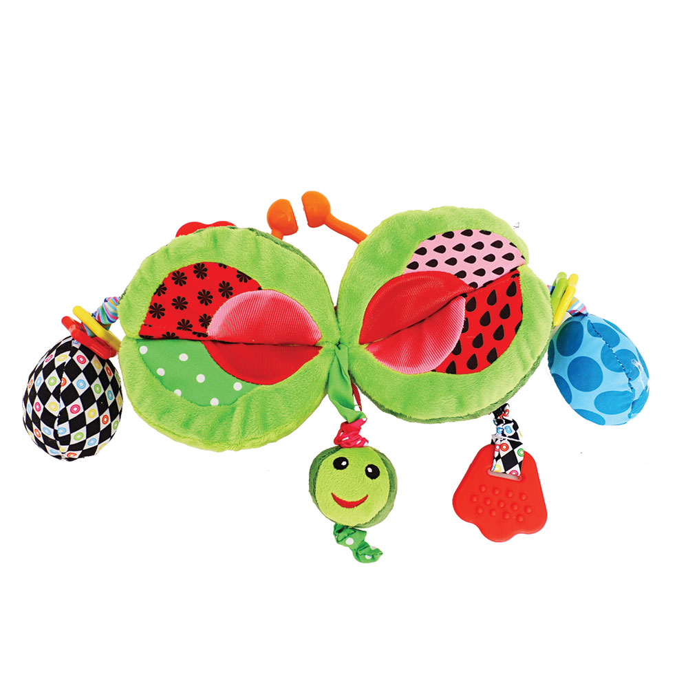Water Melon Activity Toy