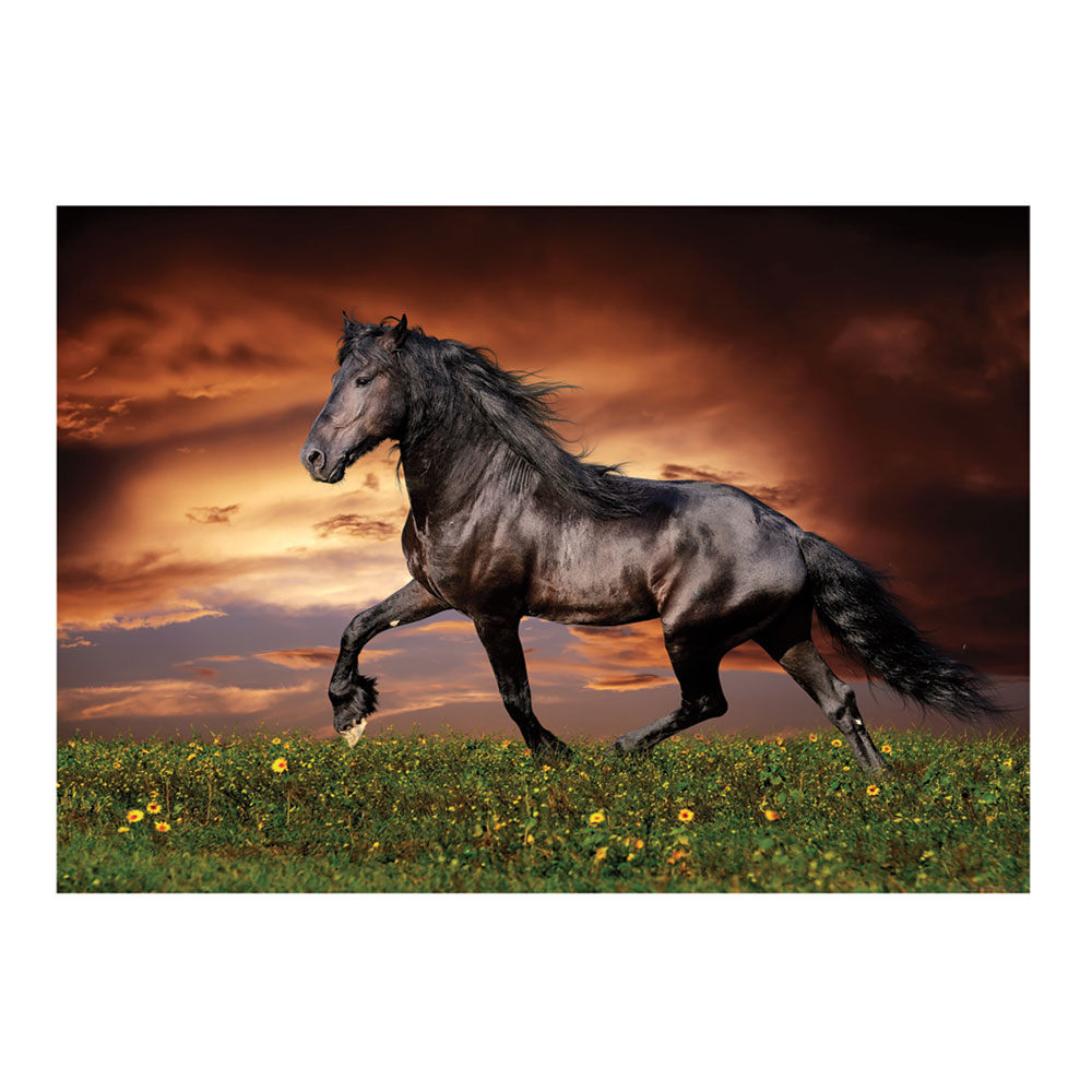 Puzzle 1000 Cavalo a Galope