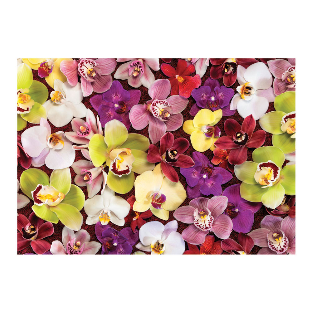 Puzzle 1000 Orquídeas Colagem