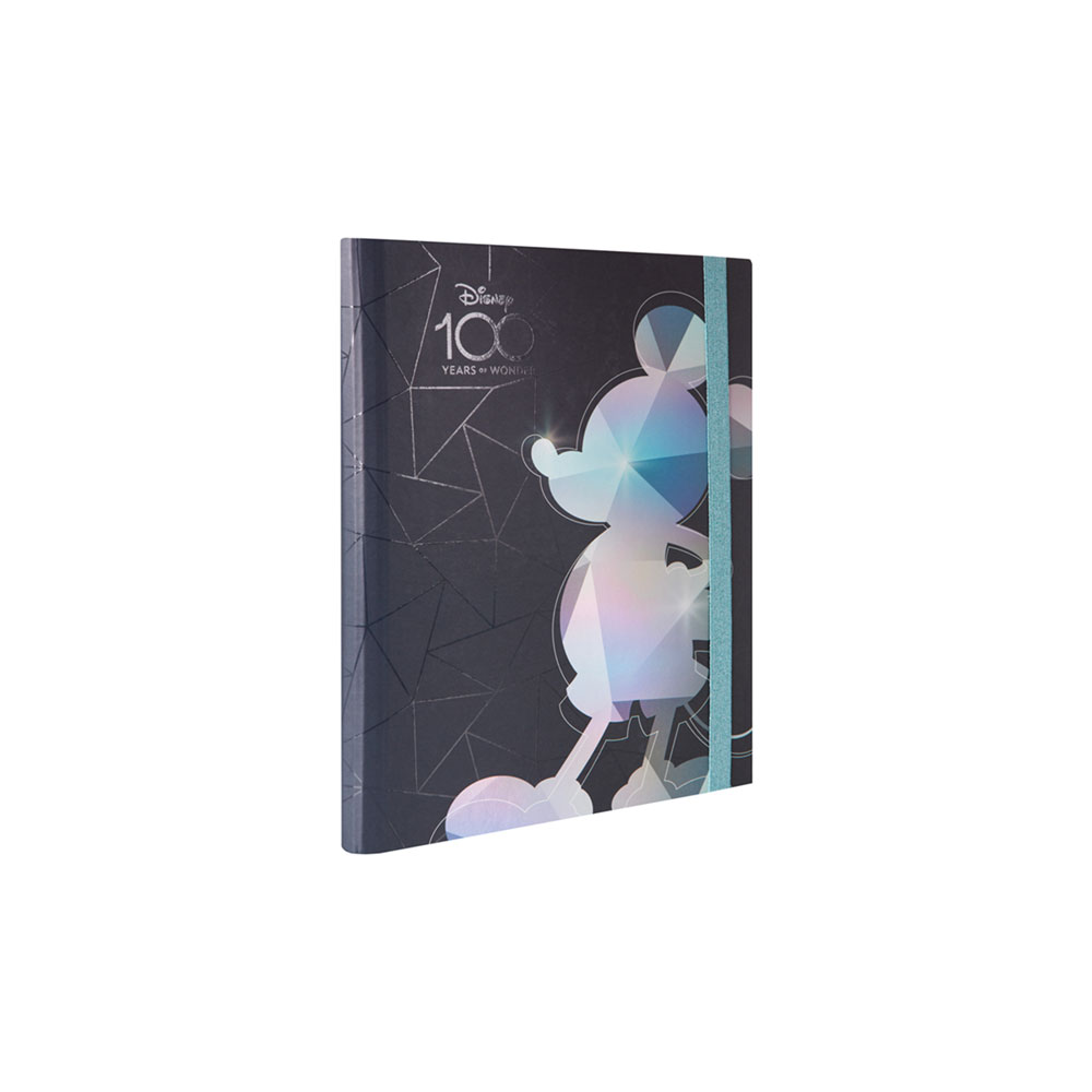 Disney 100 Disney Princess A4 Cardboard flap folder