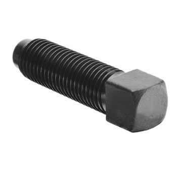 Square head bolts with dog point DIN 479