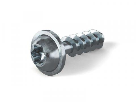Pan head screw 30 degrees Torx with false washer