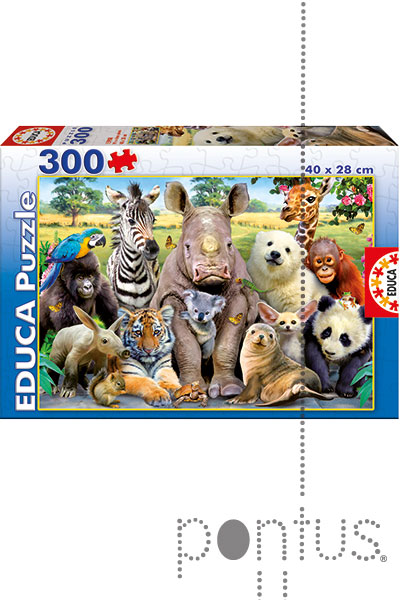 Jogo Educa puzzle Junior 300 a foto da turma