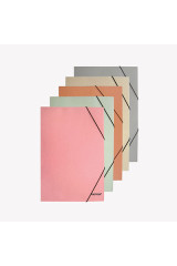 Pasta c/el&aacute;sticos 4school A3 350g cores lisas