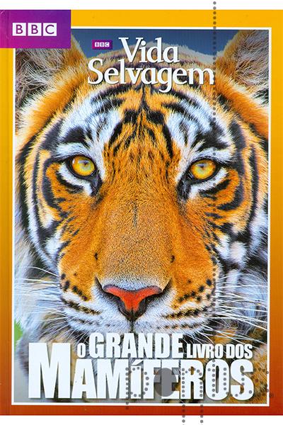 Tigre 3D Aux Pastels, Pintura por Maev'Art