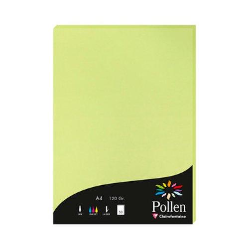Pollen Papel Colorido A4 120g