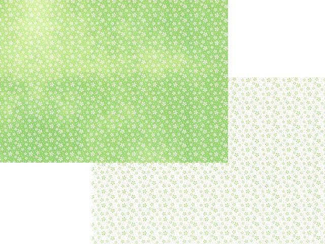 Cartolina Dupla Face 2 Motivos 300gr 49,5x68 cm - Flores Verdes/Brancas