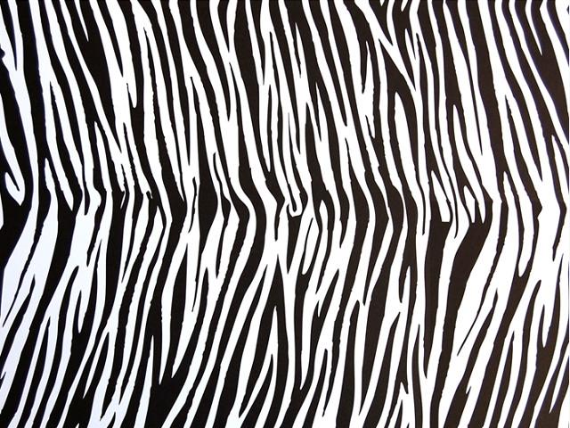 Cartolina Dupla Face 300gr 49,5x68cm - Zebra