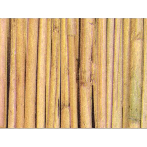 Vinil Autocolante Canas de Bambu - Rolo 20m