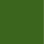 Verde Garrafa (264)