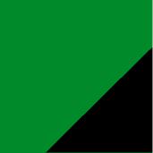(0309)Green/Black