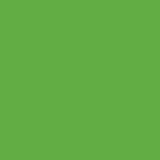 (272) Verde Pradera