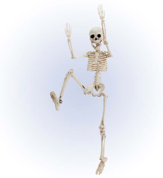 Esqueleto en Plástico 50cm