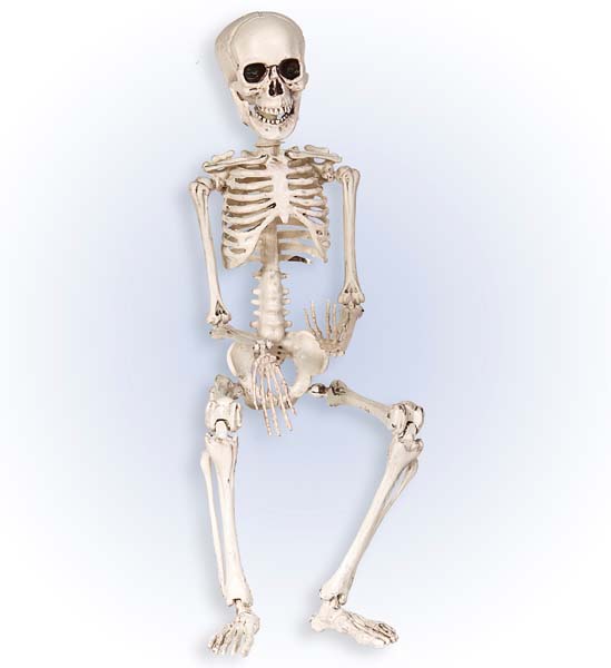 Esqueleto em Plástico 50cm