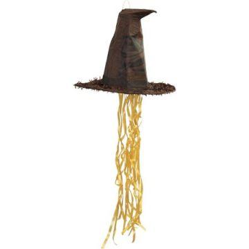 Pinhata Chapéu Harry Potter