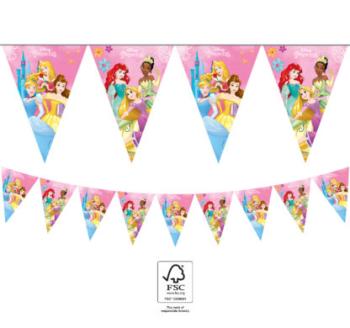 Guirnalda de papel Princesas vive tu historia Decorata Party