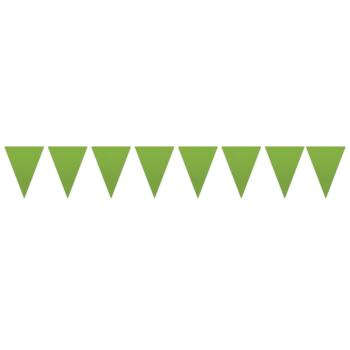 Grinalda Bandeiras em Papel 25m - Verde XiZ Party Supplies