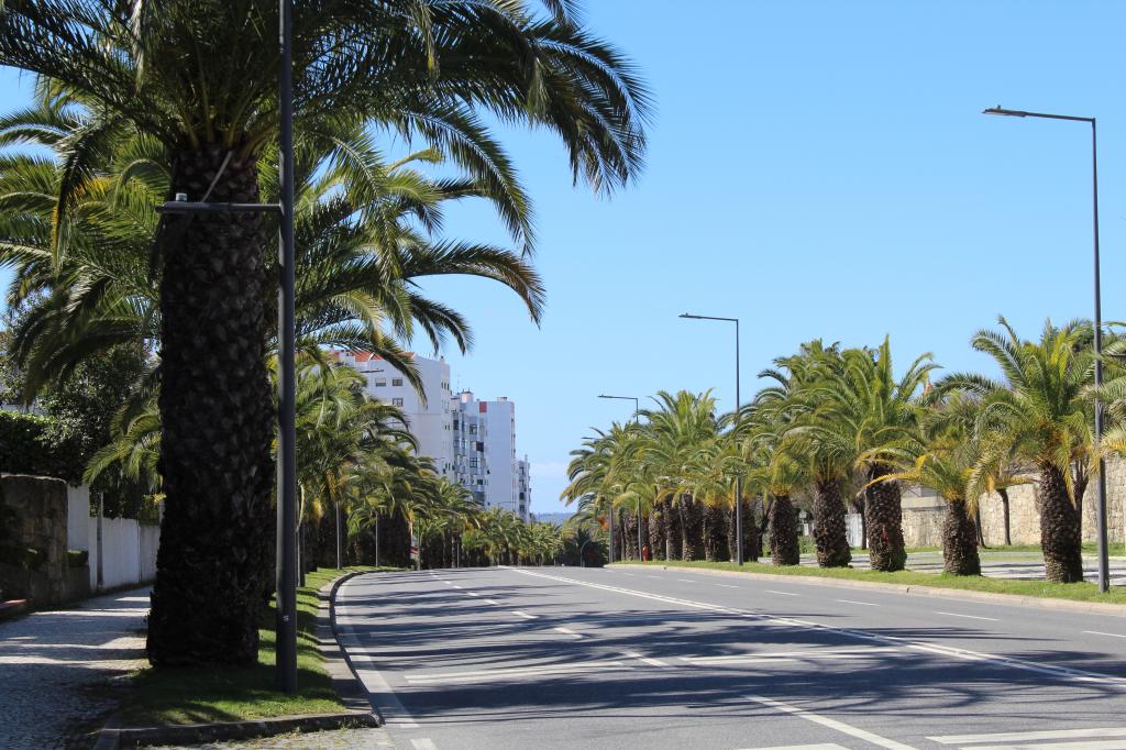 avenida_1_f5.jpg