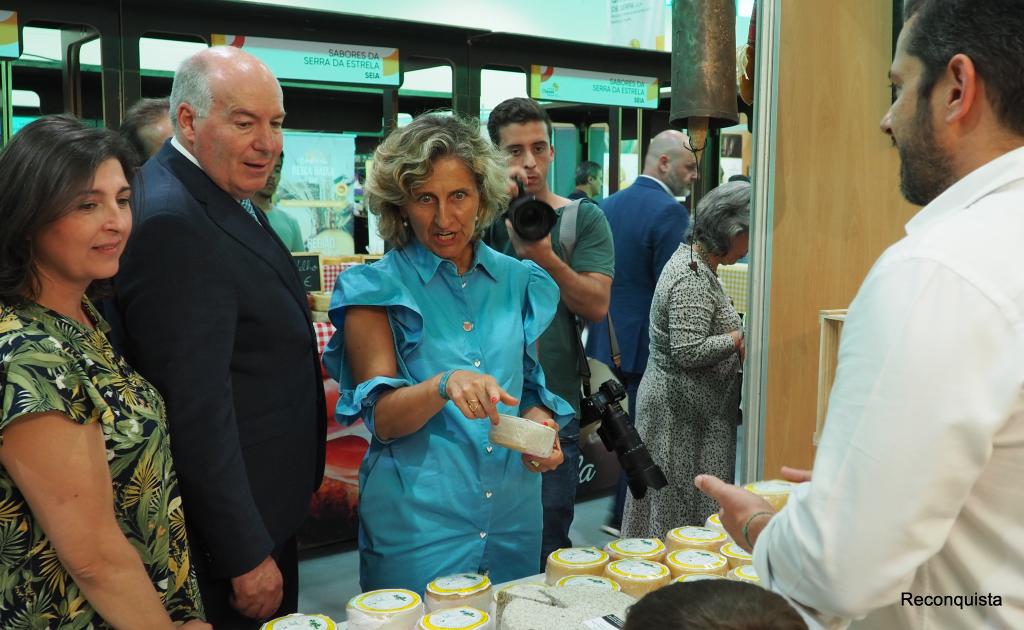 Alcains Feira do queijo com espaço para crescer ainda mais Reconquista