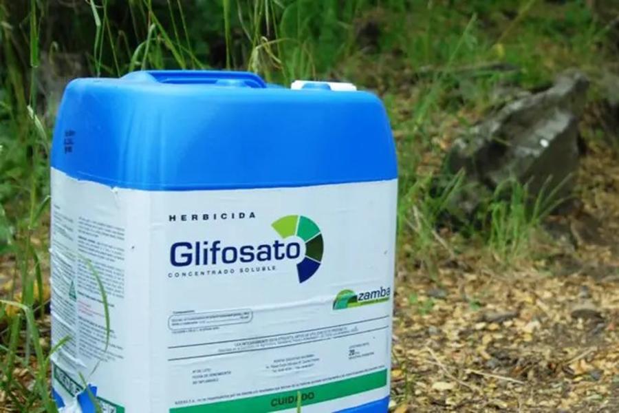 Critério para definir a escolha do herbicida com glifosato 