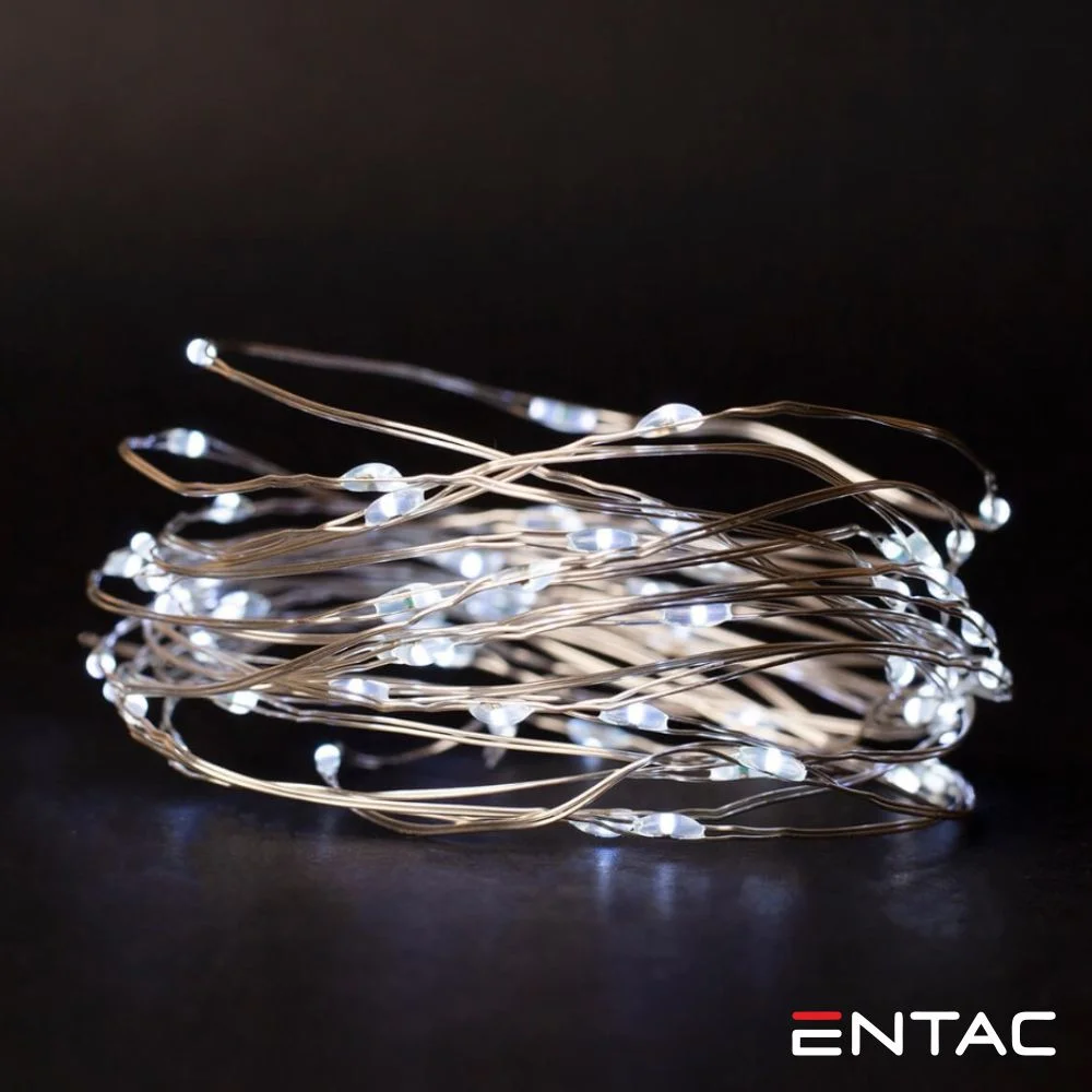 Luz de Natal 20 LEDS 6400K 1m ENTAC