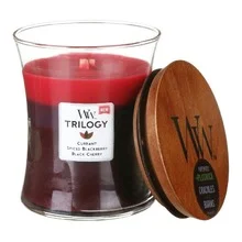 Woodwick trilogy medium hourglass candles scented candle sun