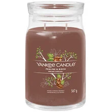 Yankee candle signature scented candle praline & birch 567 g