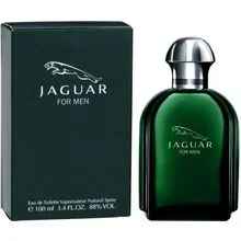 Jaguar jaguar for men eau de toilette 100 ml (man)