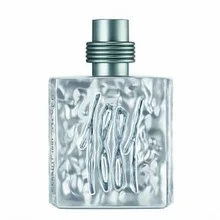 Cerruti 1881 silver eau de toilette 100 ml (man)