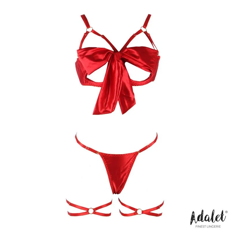 Conjunto riley de soutien, tanga e ligas