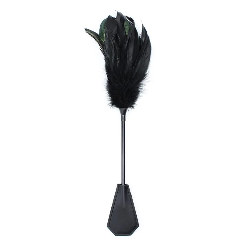 Espanador e pá 2 em 1 48 cm preto