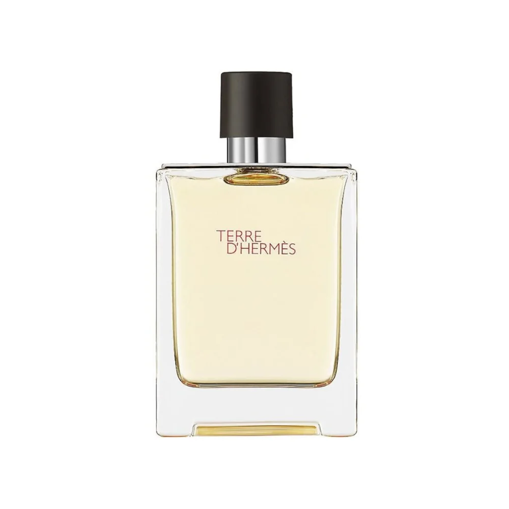 Terre D Hermes Man Eau De Toilette 100 ml