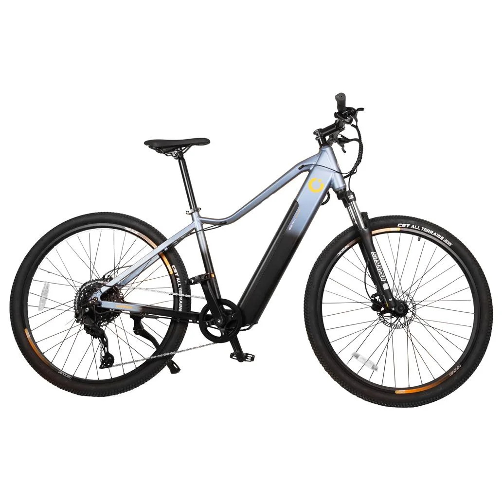 Bicicleta elétrica de montanha Mountain Avanti de 29 CECOTEC
