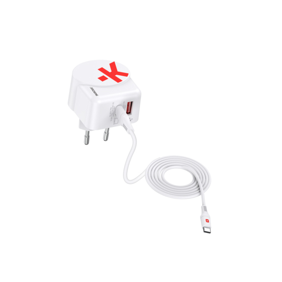 Euro USB Charger AC45PD