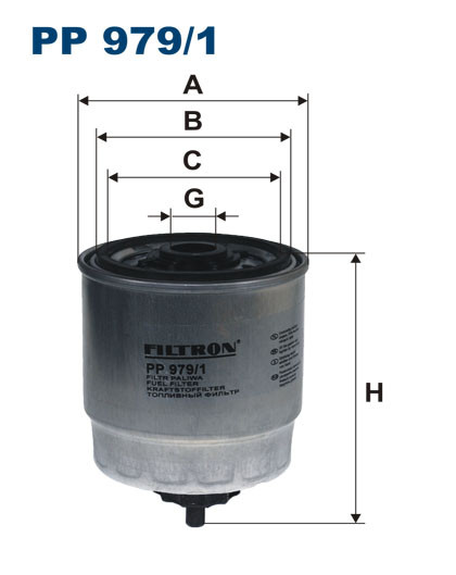 FILTRON Filtro de Combustível PP979/1