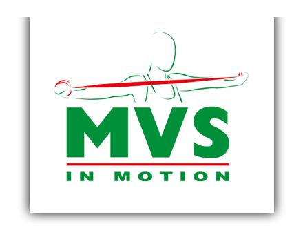 MVS.png