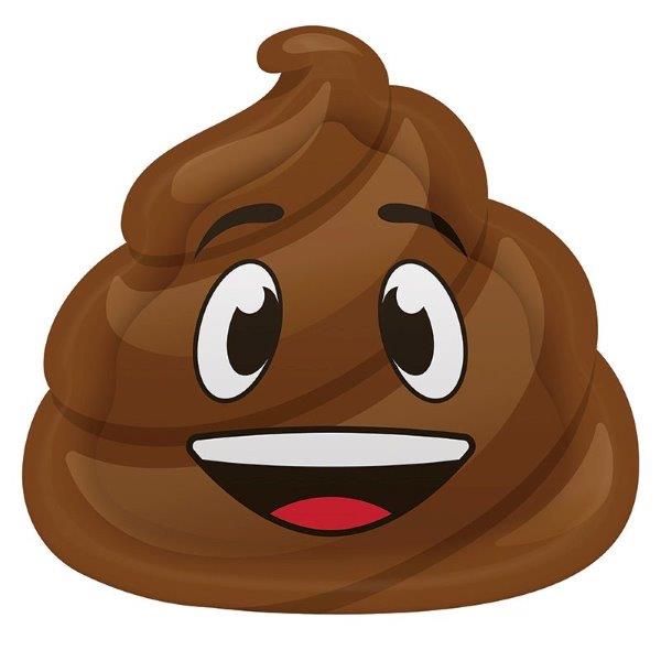 Platos Emoji Poop Creative Converting