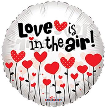 18" Love is in the Air Foil Balloon Kaleidoscope