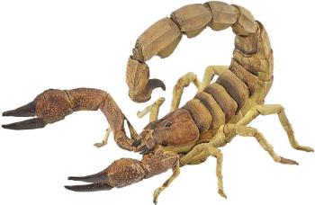 Figura coleccionable Escorpión Papo
